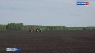 В Омской области начали уборку яровых культур