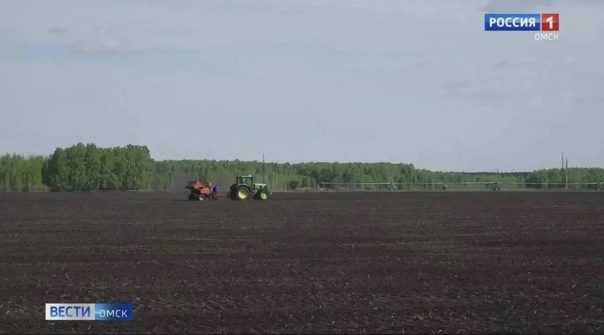 В Омской области начали уборку яровых культур
