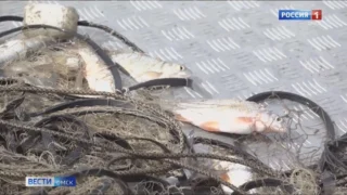 В Муромцевском районе во время рыбалки утонул мужчина