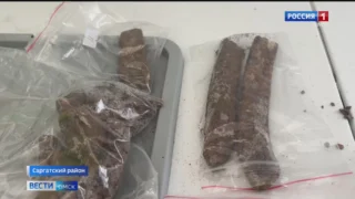 Омские археологи нашли доказательства, что 12 тысяч лет назад в нашем регионе жили древние люди