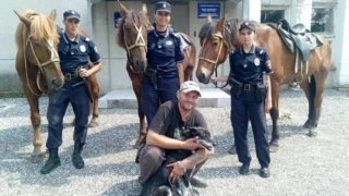 Кавалеристы омской полиции помогли собаке вернуться домой