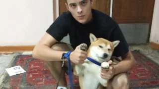 Нашелся хозяин собаки, которую приютили в Доме радио ГТРК «Иртыш»