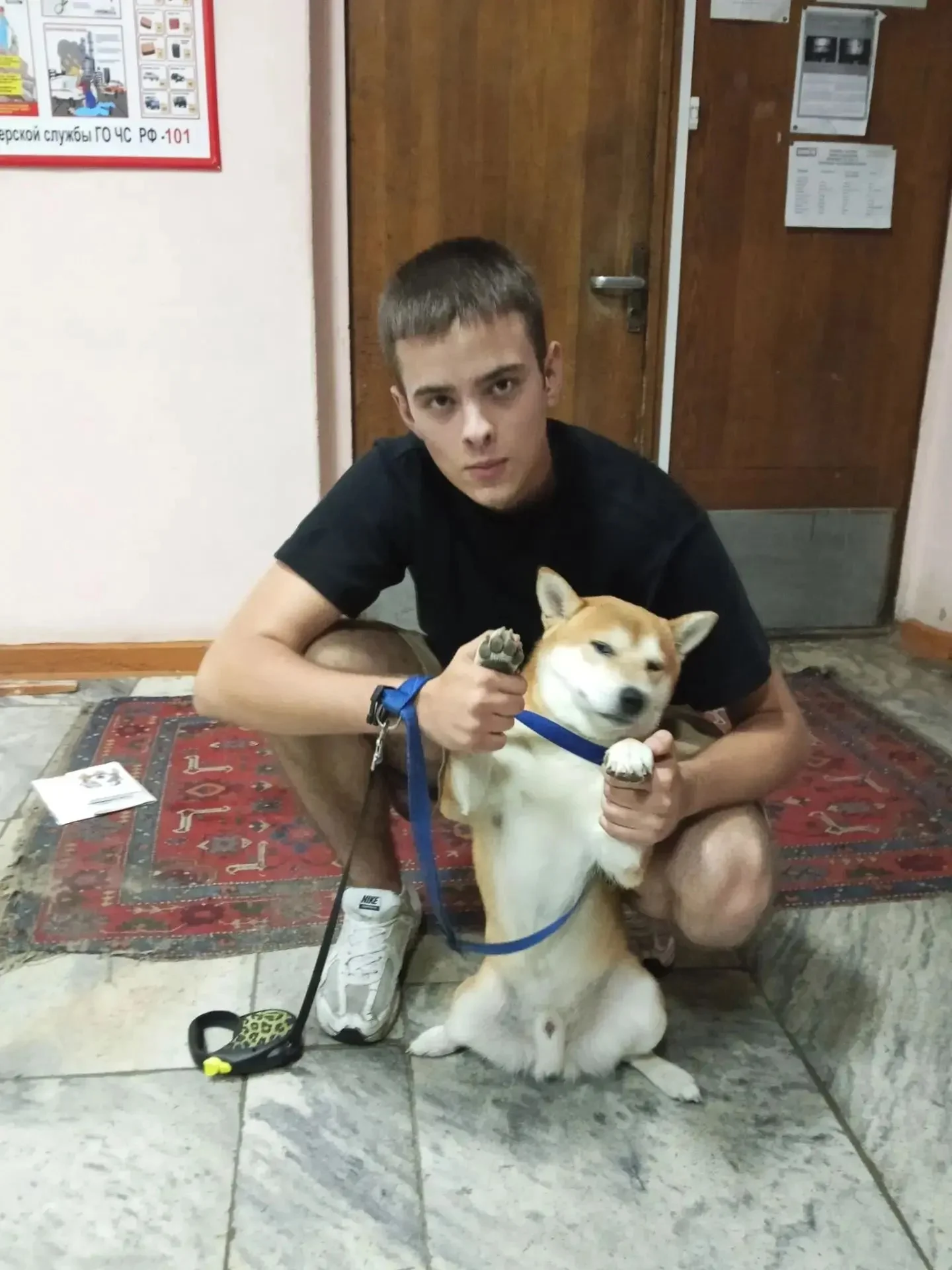 Нашелся хозяин собаки, которую приютили в Доме радио ГТРК «Иртыш»