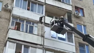 В Кемерове спасатели вызволили коршуна, застрявшего между балконами