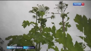 «События недели», выпуск от 19 июля 2026 года