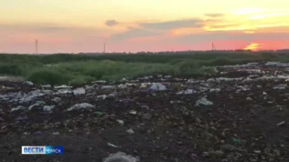 Многотонная нелегальная свалка гниющих овощей была обнаружена в курортном поселке Ачаир