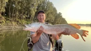 Омские рыбаки поймали гигантскую щуку