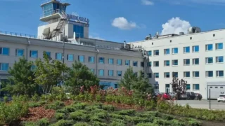 В Омске продолжают озеленять площадь Бухгольца