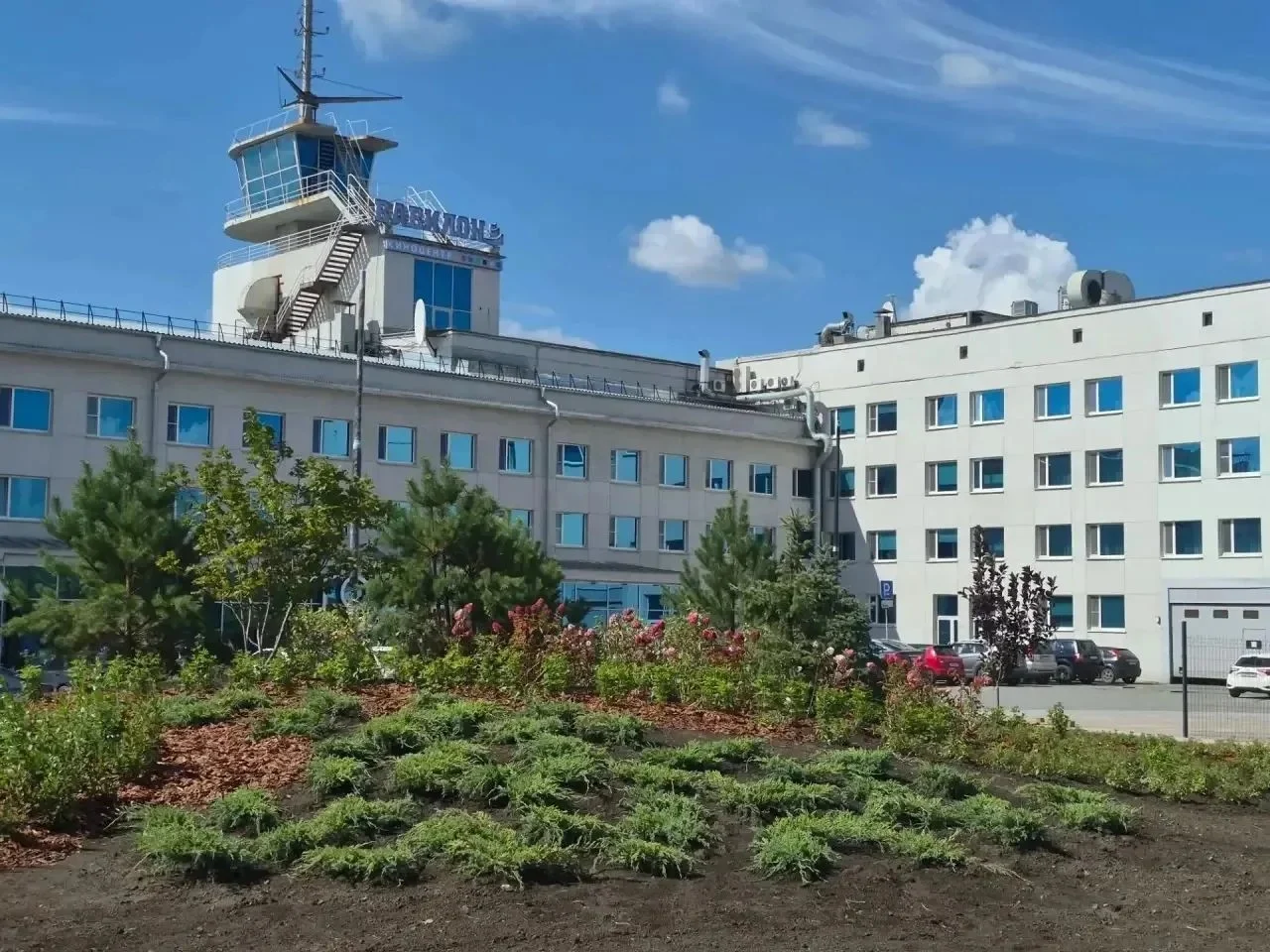 В Омске продолжают озеленять площадь Бухгольца