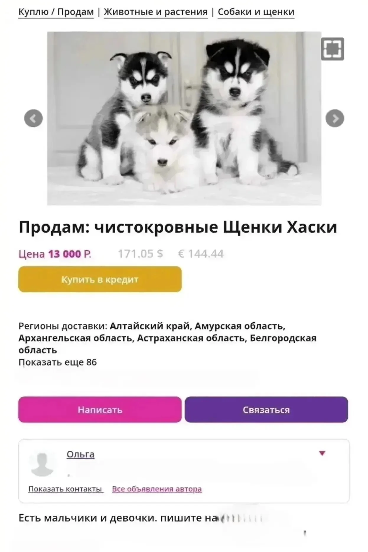 Пёс-призрак: омичка отдала 66 000 рублей за несуществующего хаски