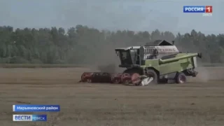 В Омской области намолотили более 100 тысяч тонн зерна нового урожая