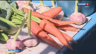 У омских садоводов урожайный бум