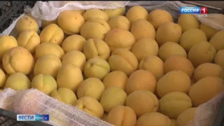 Россельхознадзор не допустил для продажи почти 30 тысяч тонн зараженных вредителями растительных продуктов