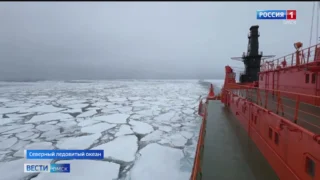 Омский школьник вернулся домой из арктической экспедиции «Ледокол знаний»