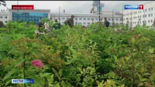Работы по благоустройству площади Бухгольца вышли на финишную прямую