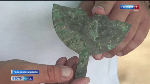 В Горьковском районе завершается масштабная археологическая экспедиция