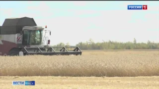В Омской области сложилась непростая ситуация с уборочной кампанией