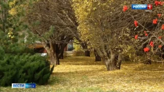 В Омскую область придет похолодание