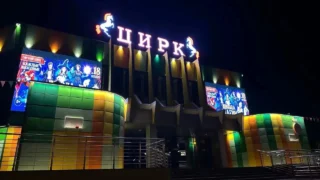 Омский цирк вернул своих лошадей
