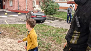 В Омске пожарные сняли с дерева мальчика, который пытался спасти кота