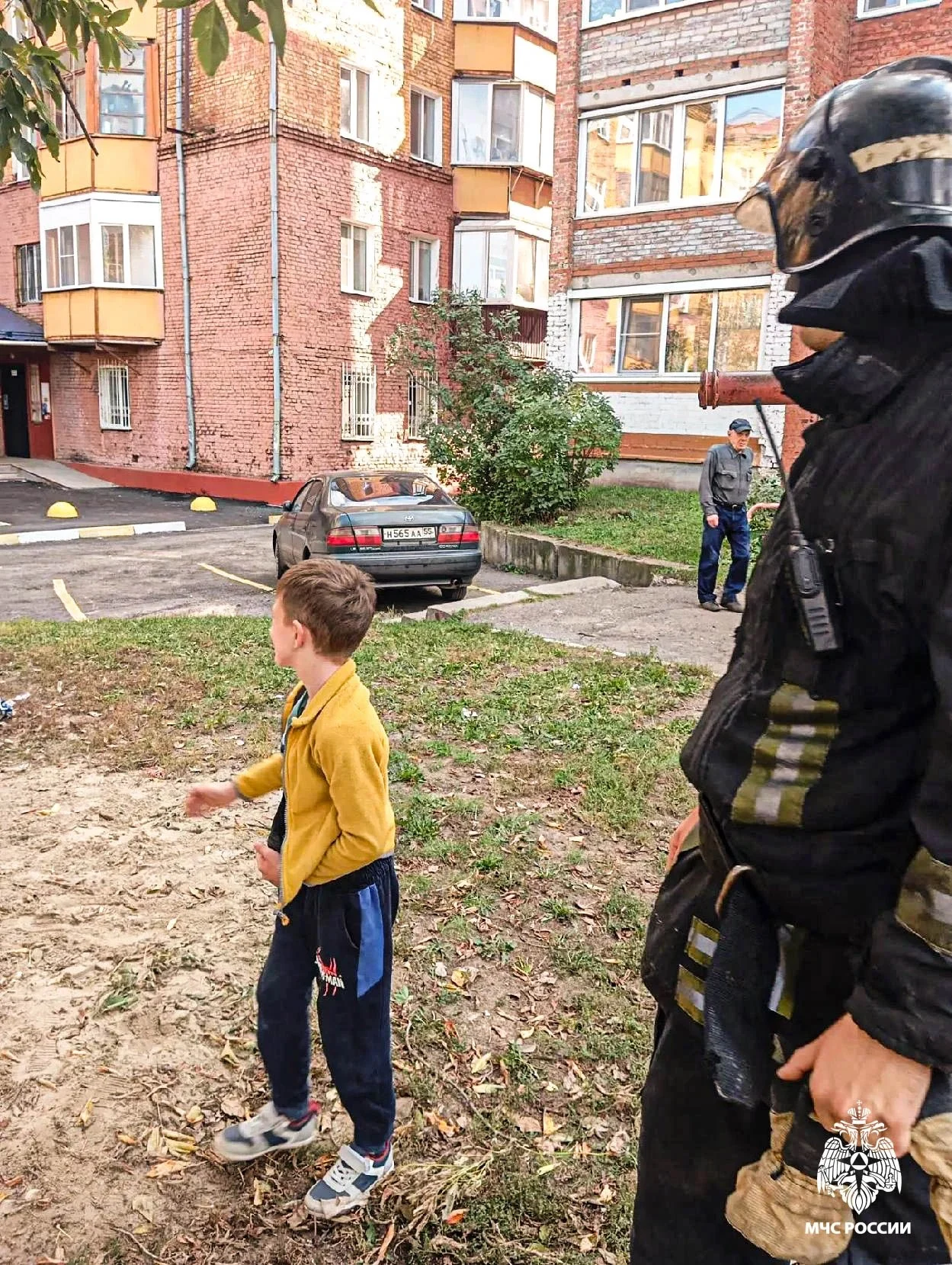 В Омске пожарные сняли с дерева мальчика, который пытался спасти кота