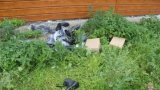 Омич попытался украсть 16 пар обуви, но его застали врасплох