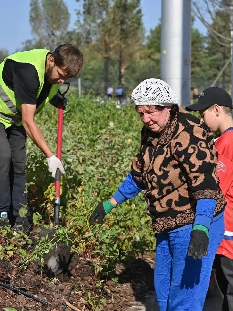 Омичка, которая ранее выкопала гортензию из сквера у СКК, высадила новые цветы