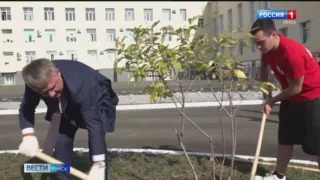 Представители компании «Автодор» приняли участие в экологической акции