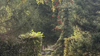 Метеорологи пообещали омичам возвращение бабьего лета