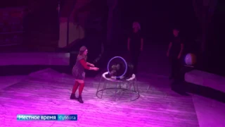 «Школа магии» в Омском цирке — большая премьера о чудесах и превращениях