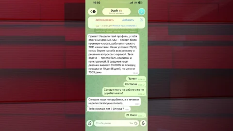 Девушкам из Омска стали предлагать прибыльную работу в сфере эскорта