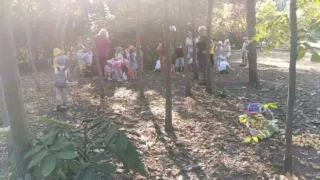 Юные помощники спасли урожай груш в дендросаду им. Г.И. Гензе