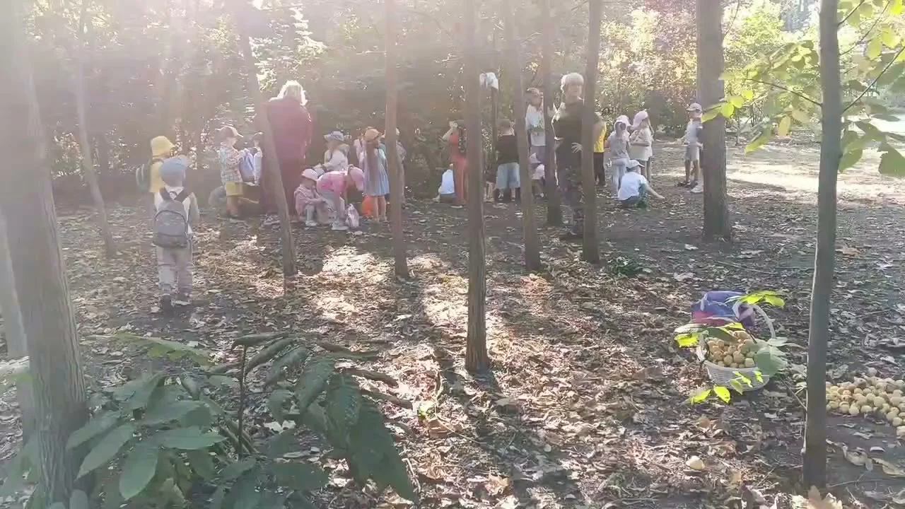 Юные помощники спасли урожай груш в дендросаду им. Г.И. Гензе