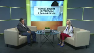 Карбыши в этом дачном сезоне больше не смогут атаковать омичей
