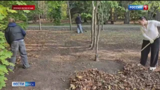 В дендрологическом саду имени Гензе занимаются обустройством необычной аромаклумбы