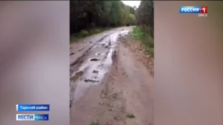 Косолапого хозяина тайги встретил на своем пути житель отдаленной деревни в Тарском районе