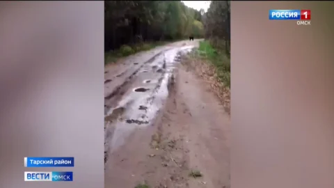 Косолапого хозяина тайги встретил на своем пути житель отдаленной деревни в Тарском районе