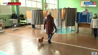 Как обстоит ситуация на выборах в Омской области?