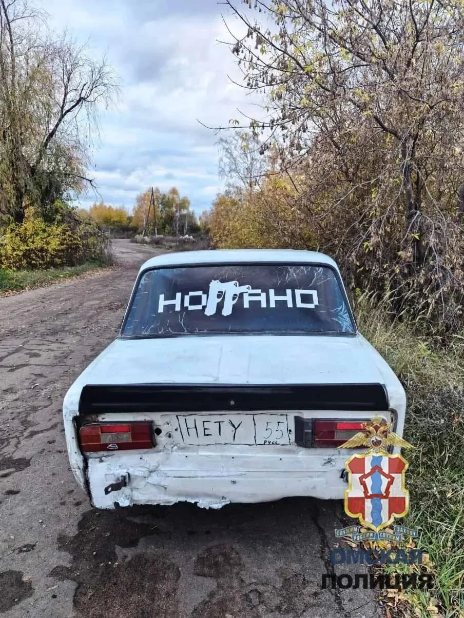 «НЕТУ 55»: креативный омич получил штраф за самодельный номер на автомобиле и езду без прав
