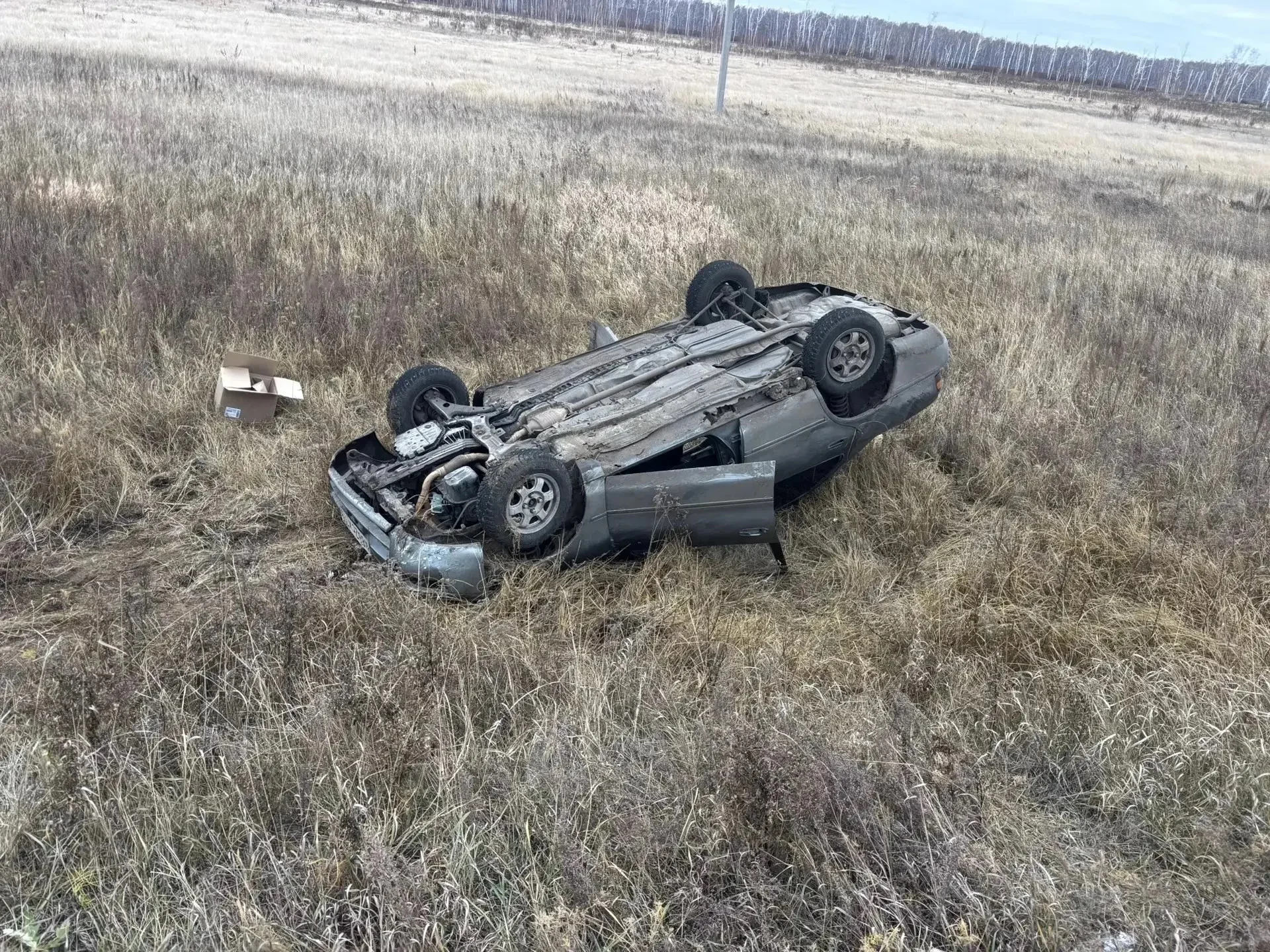 В Омской области подросток угнал и разбил чужой автомобиль