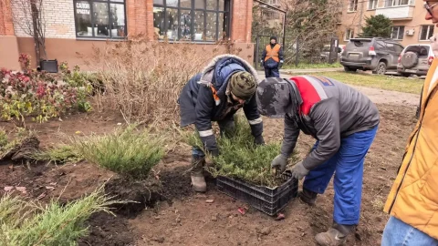 В Омске появится новый сквер