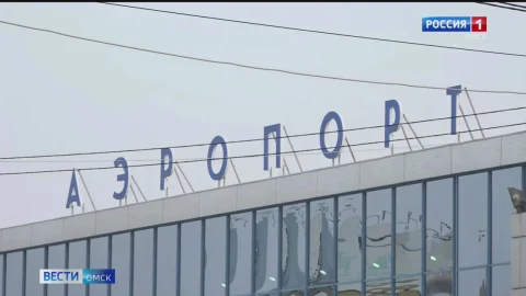 В Омске самолет столкнулся со стаями птиц