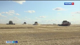 Омские аграрии подводят итоги уборочной кампании