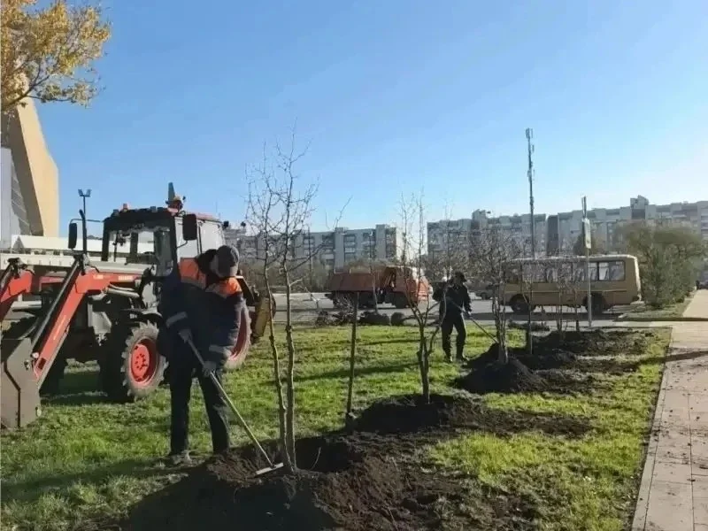 В Омске продолжается озеленение территорий