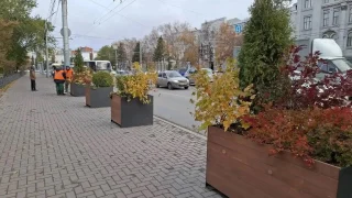 Цветы из центра Омска переезжают на зимовку в питомник