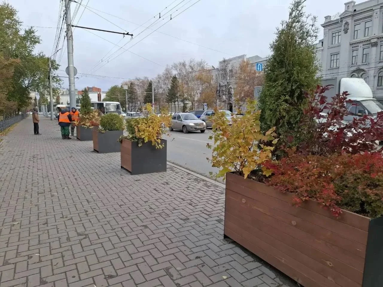 Цветы из центра Омска переезжают на зимовку в питомник