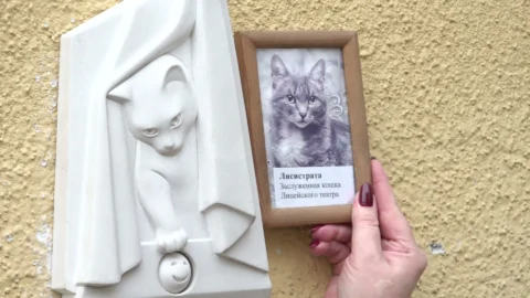 На здании Камерного драматического театра имени Решетникова появился необычный барельеф