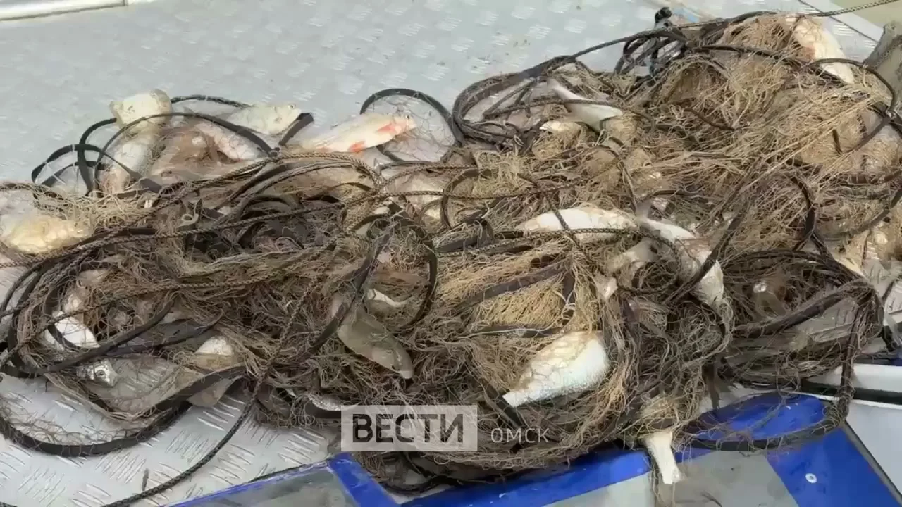 ФАС начала мониторить цены на рыбу