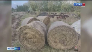 В Исилькульском районе возбудили уголовное дело по факту кражи зерна